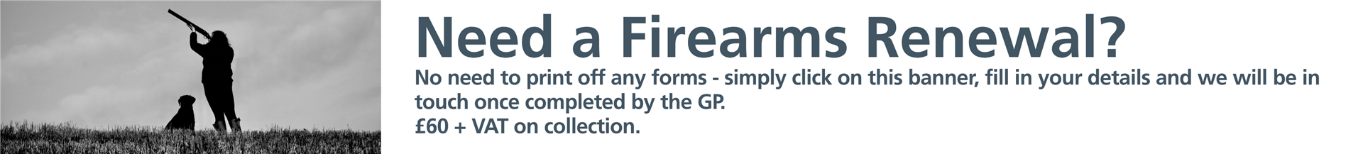 firearms